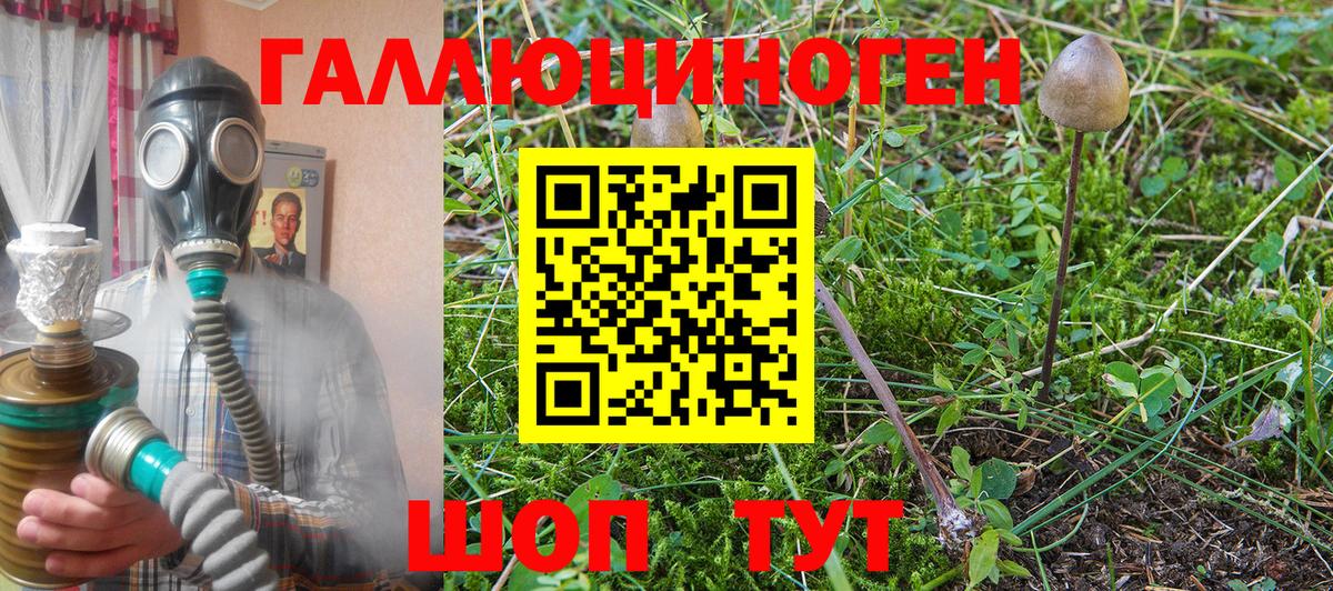 Новый Уренгой  Галлюциногенные грибы MAGIC MUSHROOMS  Вход с VPN  Псилоцибиновые грибы Psilocybine cubensis 